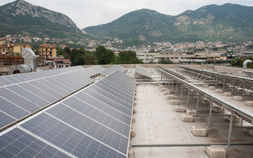 Sustainability is a practical matter: the REAL FREE project