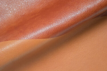 18-19 febbraio: Nuova ICOS a SHOWCASE FAIR 2026